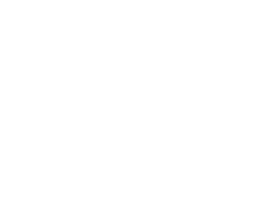 Ballestra Consulting SRL